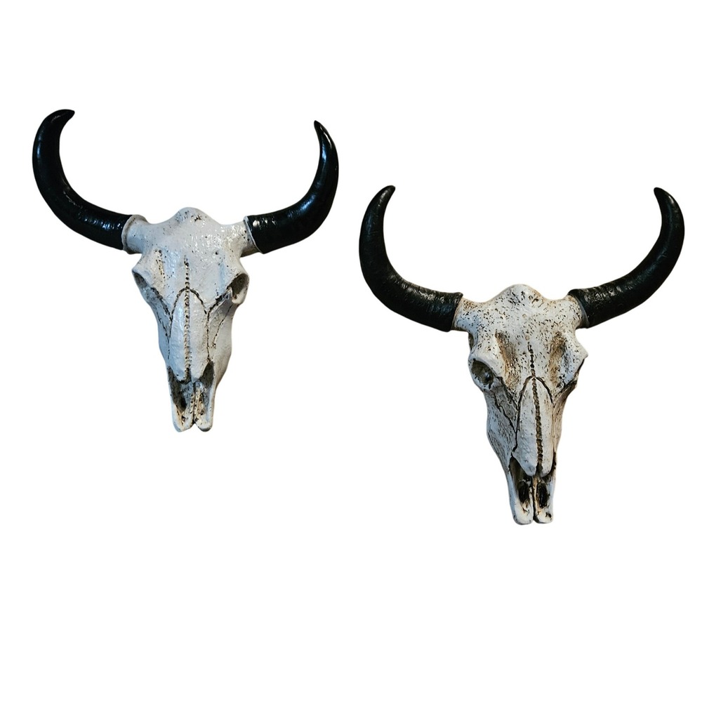 Western Steer Skull‎ Wall Decor Art Set, Faux Taxidermy, Southwestern Accent